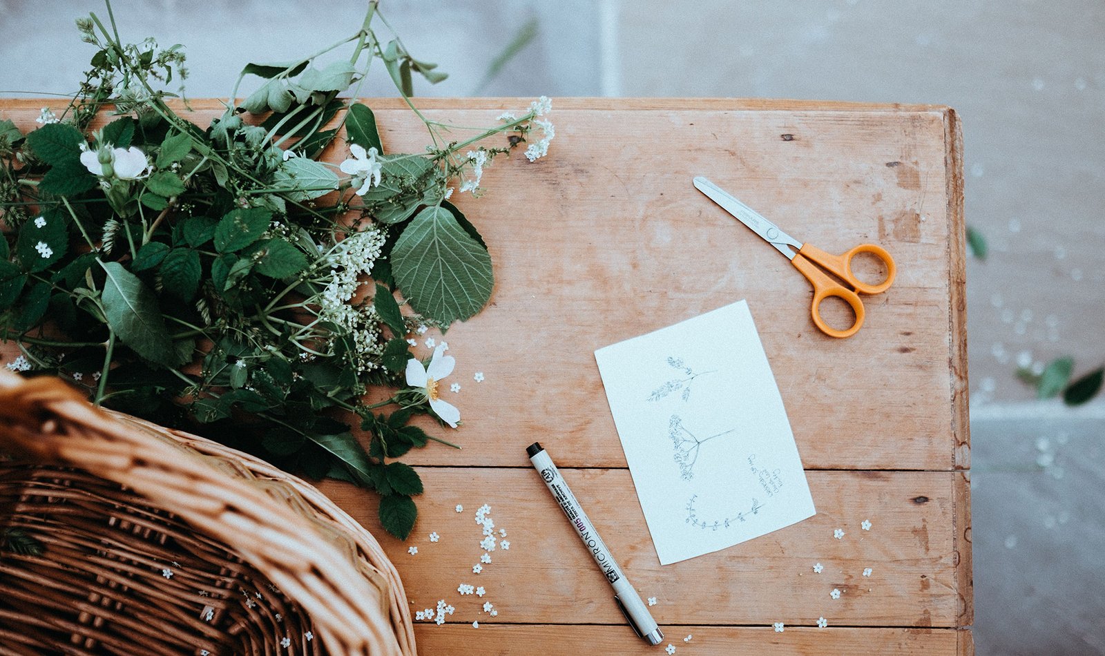 annie-spratt-365536-unsplash.jpg